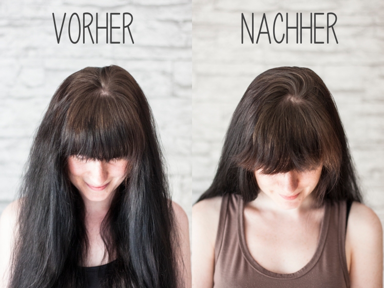 Produkttest: Sante shit the ♡ – Haarfarbe simple do Pflanzen